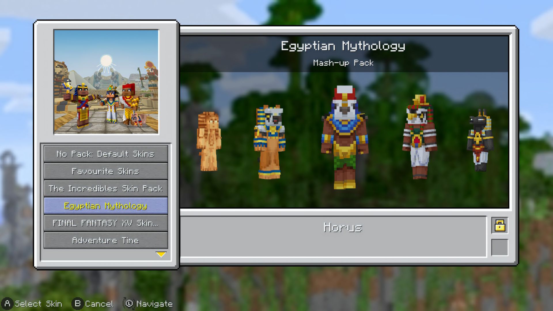 Change Skin or Accessory
