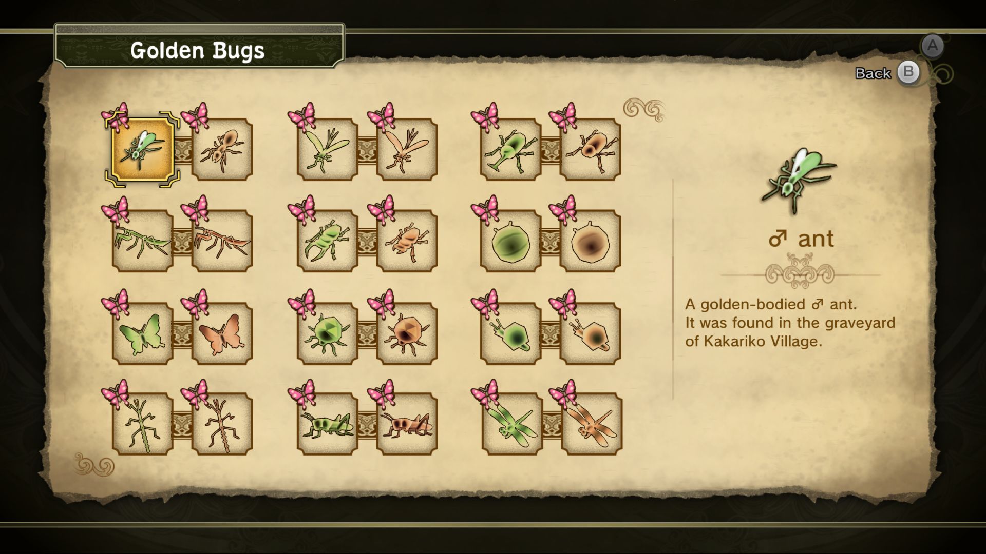 Codex & Journal